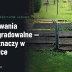 Opakowania biodegradowalne — co to znaczy w praktyce